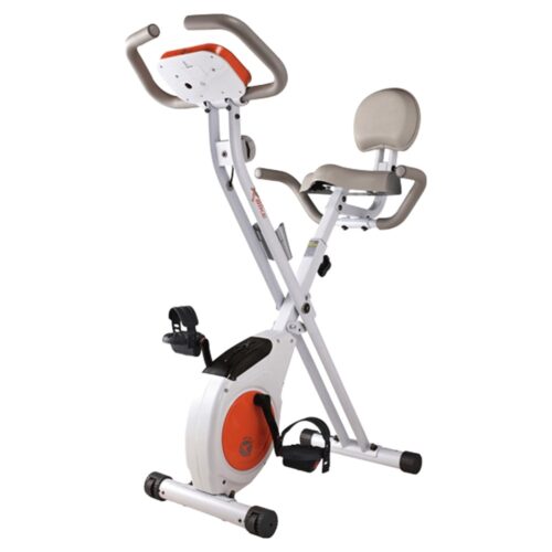 엑스바이크 숀리