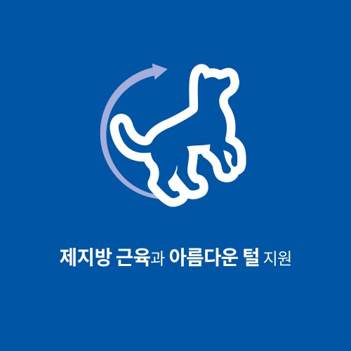 우리 아이도 반한 힐스 강아지사료 어덜트 연어 & 현미 2kg 솔직 후기!