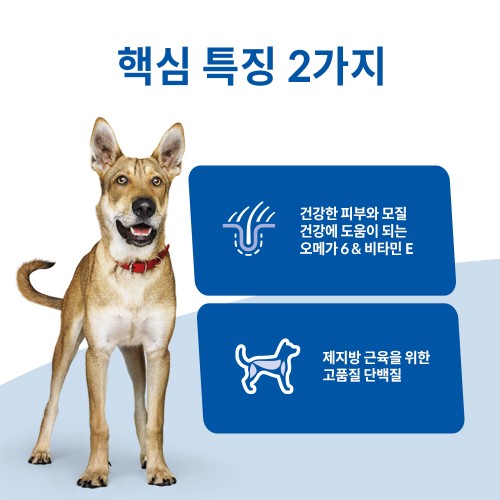 우리 아이도 반한 힐스 강아지사료 어덜트 연어 & 현미 2kg 솔직 후기!