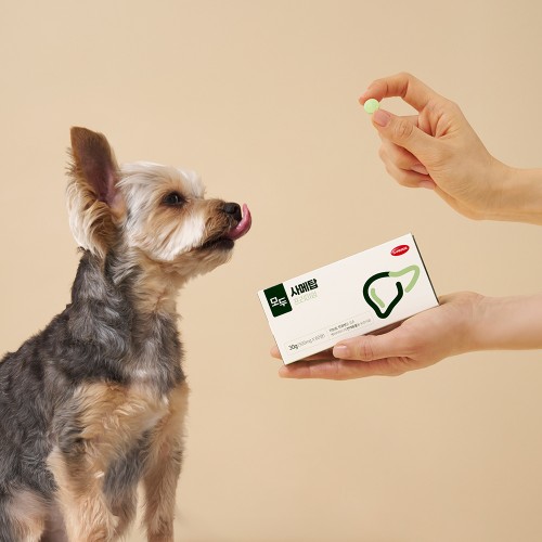 만성 피로 탈출! 케어사이드 모두 사메탑 60정, 간 건강 지킴이 솔직 후기