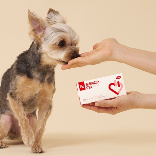 댕댕이 활력 UP! 케어사이드 모두 헤파카디오 60정, 우리 아이 심장 건강 지킴이 솔직 후기!