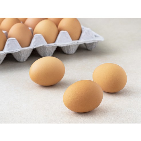 신선함 끝판왕! 곰곰 무항생제 왕란 30구로 건강한 식탁 꾸미기