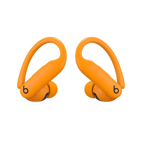 운동 필수템! Apple Beats Powerbeats Pro 2 블루투스 이어폰, 내돈내산 솔직 후기