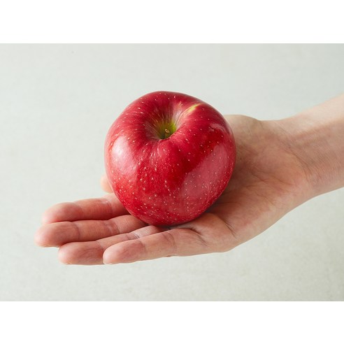 가성비 끝판왕! 영주마실 못난이 사과, 못생겨도 맛은 최고!