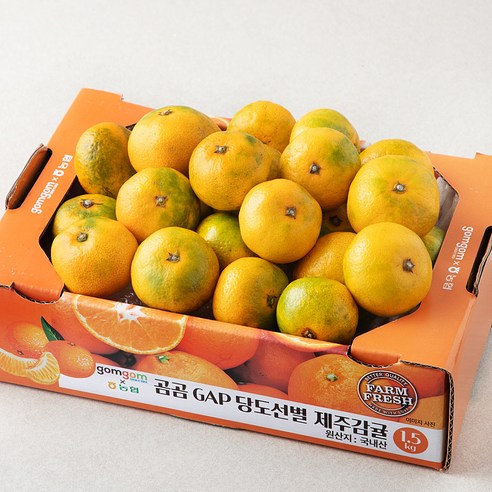 상큼 달콤! 제주감귤, 지금 바로 맛봐야 할 햇 노지감귤 & 하우스감귤 추천!