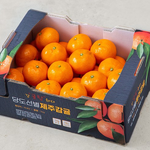 상큼 달콤! 제주감귤, 지금 바로 맛봐야 할 햇 노지감귤 & 하우스감귤 추천!