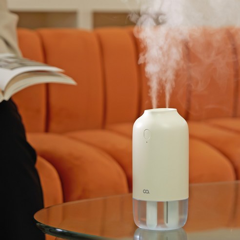 오아 듀얼미스트 미니: 건조함 이젠 안녕! 내 돈 내산 찐 후기