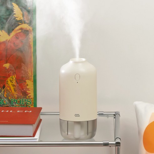 오아 듀얼미스트 미니: 건조함 이젠 안녕! 내 돈 내산 찐 후기