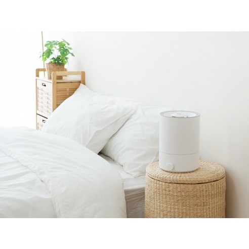 건조함 한 방에! 홈플래닛 초음파 가습기 4L 내돈내산 솔직 후기