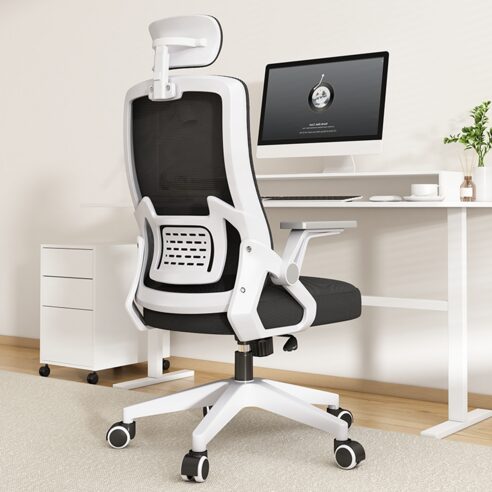 헤르티만 허리 편한 사무용 의자, 장시간 앉아도 편안함의 비결은?