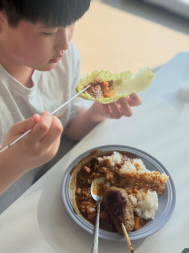 진짜 일본 카레 맛! 카리 토리야 하야시로 집에서 즐기는 풍성한 한 끼 5 진짜 일본 카레 맛! 카리 토리야 하야시로 집에서 즐기는 풍성한 한 끼