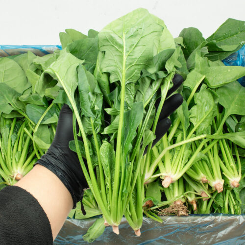 product_1768043206758_1