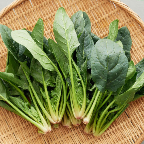 싱싱함이 살아있는 제철 시금치 4kg, 우리 집 밥상 위의 건강 지킴이!