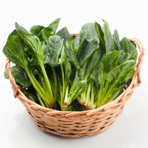 싱싱함이 살아있는 제철 시금치 4kg, 우리 집 밥상 위의 건강 지킴이!