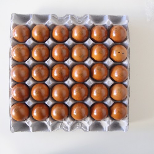 product_1768488168660_1