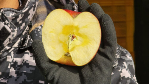 product_1769045248138_1