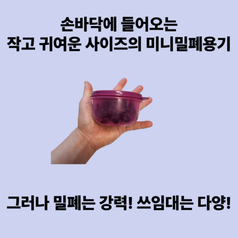 타파웨어 미니밀폐용기 250ml, 작지만 강력한 활용법 대공개! 5 타파웨어 미니밀폐용기 250ml, 작지만 강력한 활용법 대공개!