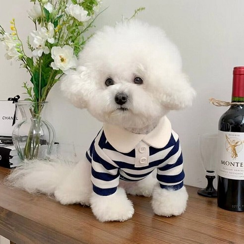 봄여름 우리 댕댕이 패션, 코어엑시스 해군카라 조끼로 완성! 43 봄여름 우리 댕댕이 패션, 코어엑시스 해군카라 조끼로 완성!