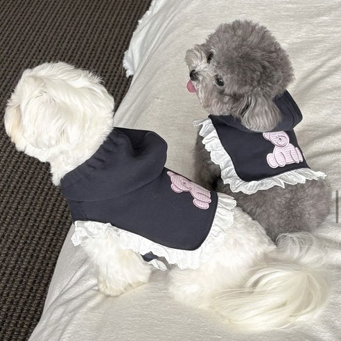 봄여름 우리 댕댕이 패션, 코어엑시스 해군카라 조끼로 완성! 3 봄여름 우리 댕댕이 패션, 코어엑시스 해군카라 조끼로 완성!