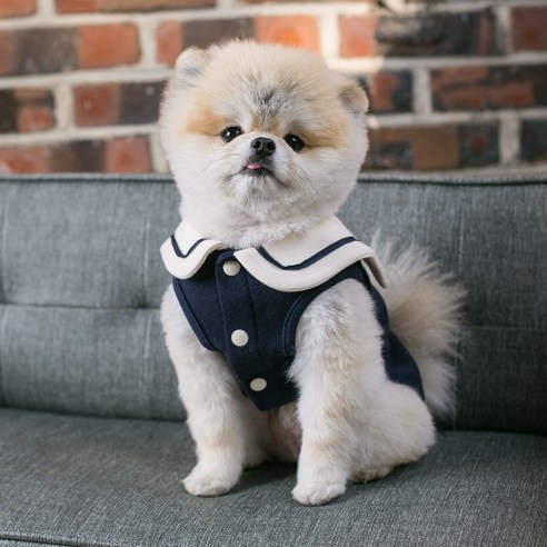 봄여름 우리 댕댕이 패션, 코어엑시스 해군카라 조끼로 완성! 5 봄여름 우리 댕댕이 패션, 코어엑시스 해군카라 조끼로 완성!