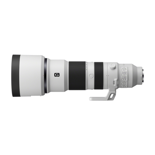 소니 SEL400F800G, 왜 이제야 만났을까요? 압도적인 망원 성능 후기 7 소니 SEL400F800G, 왜 이제야 만났을까요? 압도적인 망원 성능 후기