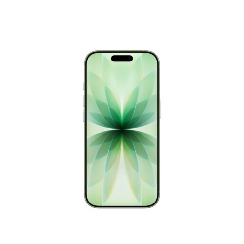애플 아이폰 17 자급제 256GB 세이지, 이 고급스러움 실화야?