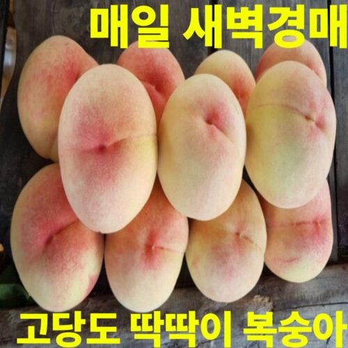 매일 새벽경매 고당도 딱딱이 복숭아, 1박스, 딱딱이 5kg